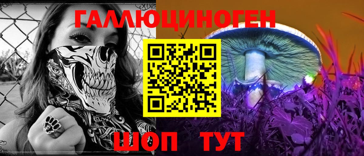 Псилоцибиновые грибы Cubensis Чехов